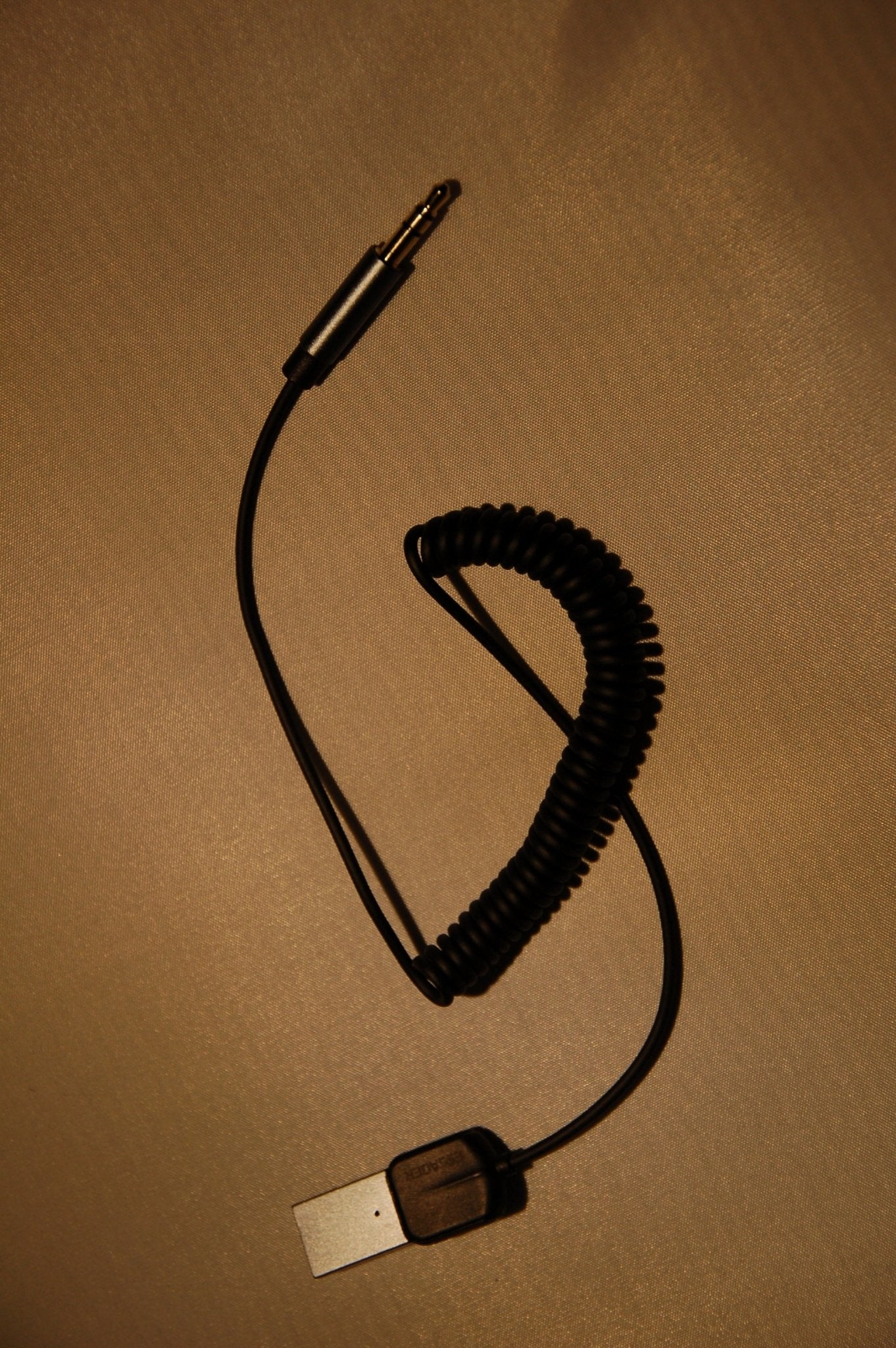 AUX Dongle (Kabel)