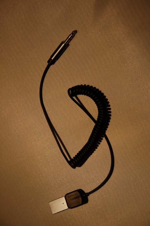 AUX Dongle (Kabel) - BlueCruise